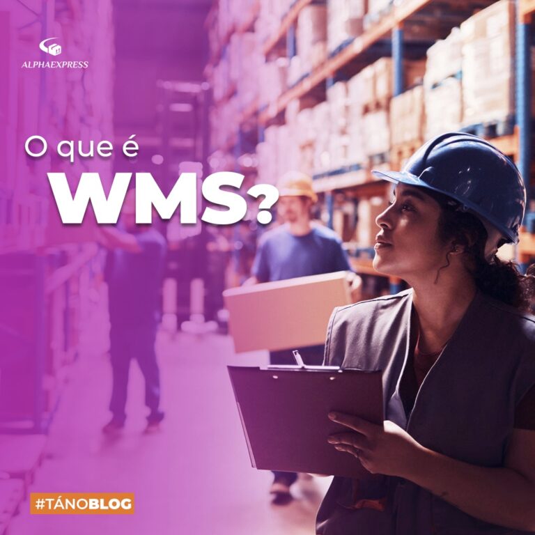 O que é WMS?